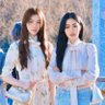 ปลาทองความจำสั้น's profile picture