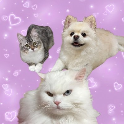 Aki6224's profile picture