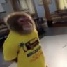 Profilbild von Paul