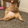 sippinginfo's profile picture