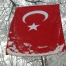 🇹🇷🌳ormansever🌳🇹🇷 的头像