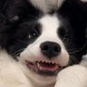 Profilbild von Lucas