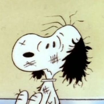 Cale's profile picture