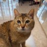 Фото профиля sammy