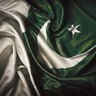 Haider Ali's profile picture