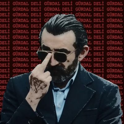 DeliGurdal4f's profile picture