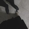 Фото профиля امير الظلال