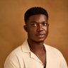 Profilbild von Mr. Samuel Owolabi