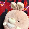 Profilbild von めい