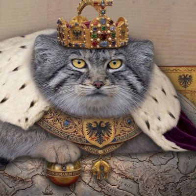 pallasmaxxer's profile picture