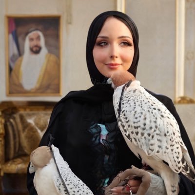 Hind_AlDhaheri's profile picture