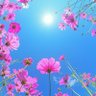 だやん 的头像