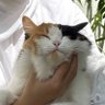 🫶🏼 profil fotoğrafı