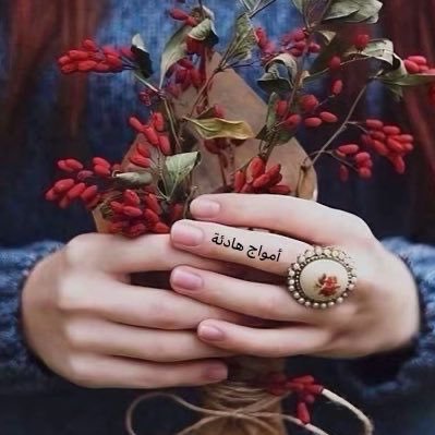 أموآج هادئه🌊's profile picture