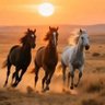 Фото профиля Ayman Avy