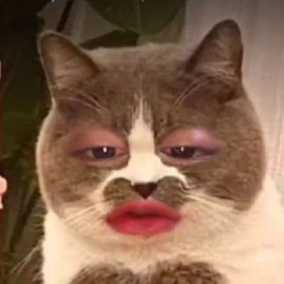 🏳️🌈ヾෆมะมี๊ไข่แมวෆヾ🏳️🌈's profile picture