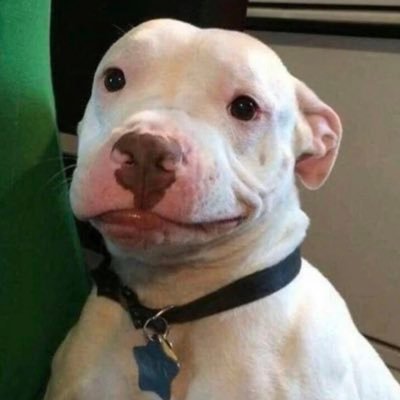 LiLILARRR's profile picture