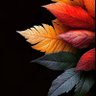 Фото профиля Lolo
