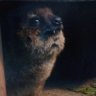 Profilbild von Goob