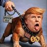 Donald Trump father's profile picture