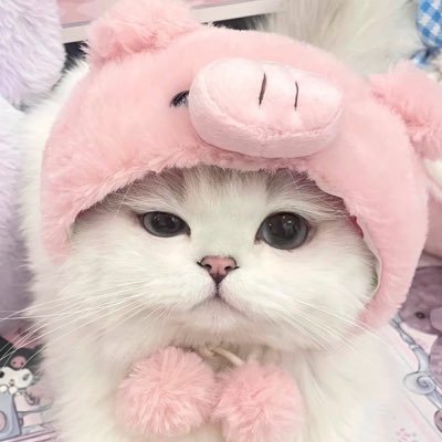 มิกซิวโอ้โหตาโตเท่าไข่ห่าน ˄·͈༝·͈˄'s profile picture