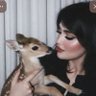 🦌's profile picture