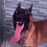 jeko_xd_ profil fotoğrafı