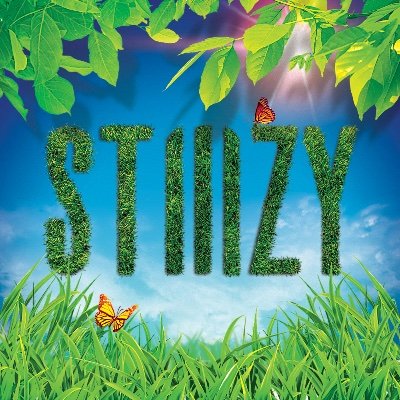 stiiizy's profile picture