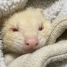 Paul Smith's profile picture