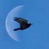 Profilbild von Paul Langras