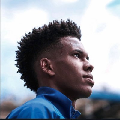 Steva 🇵🇹's profile picture