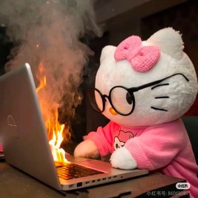 MELEK MİSİN's profile picture