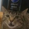 XRvoid's profile picture