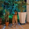 Фото профиля Alejandro De. Derecha Abelrardista uribista