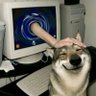 Evan's profile picture