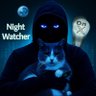 NIGHT WATCHER 的头像
