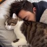 井上まさひろ 的头像