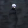 Profilbild von minus kylix_