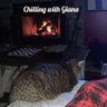 fading giant 的头像