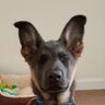 Pete profil fotoğrafı