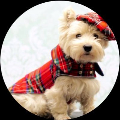 NaomiSky15's profile picture