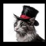 Francisco noroes 2 profil fotoğrafı