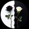 سعود عبد الله السعيد 🌟 ♿'s profile picture