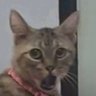 Milca's profile picture