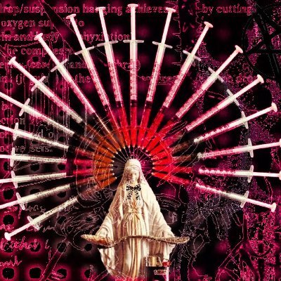 BiblicallyAccurateTransexualPriestess's profile picture