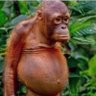 WillyRelwitten's profile picture