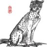 Фото профиля 黄老邪