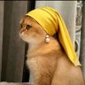 .....🍒🐈😼🍒.....'s profile picture