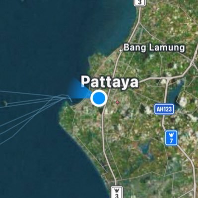 pattayaswingnow's profile picture