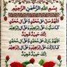 Tahseen Siddiqui's profile picture